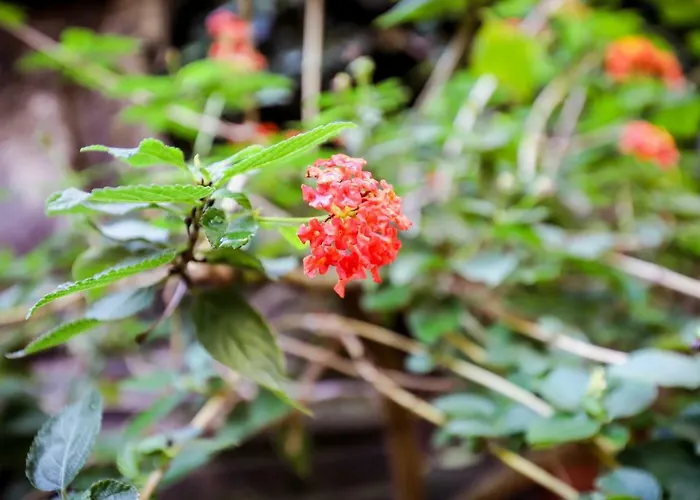 La Casa Di Zucca Sopra Piazza Plebiscito! * 나폴리